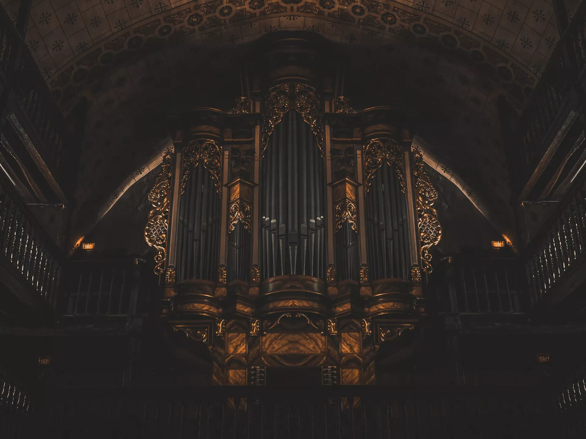 The Organist – First Public Release